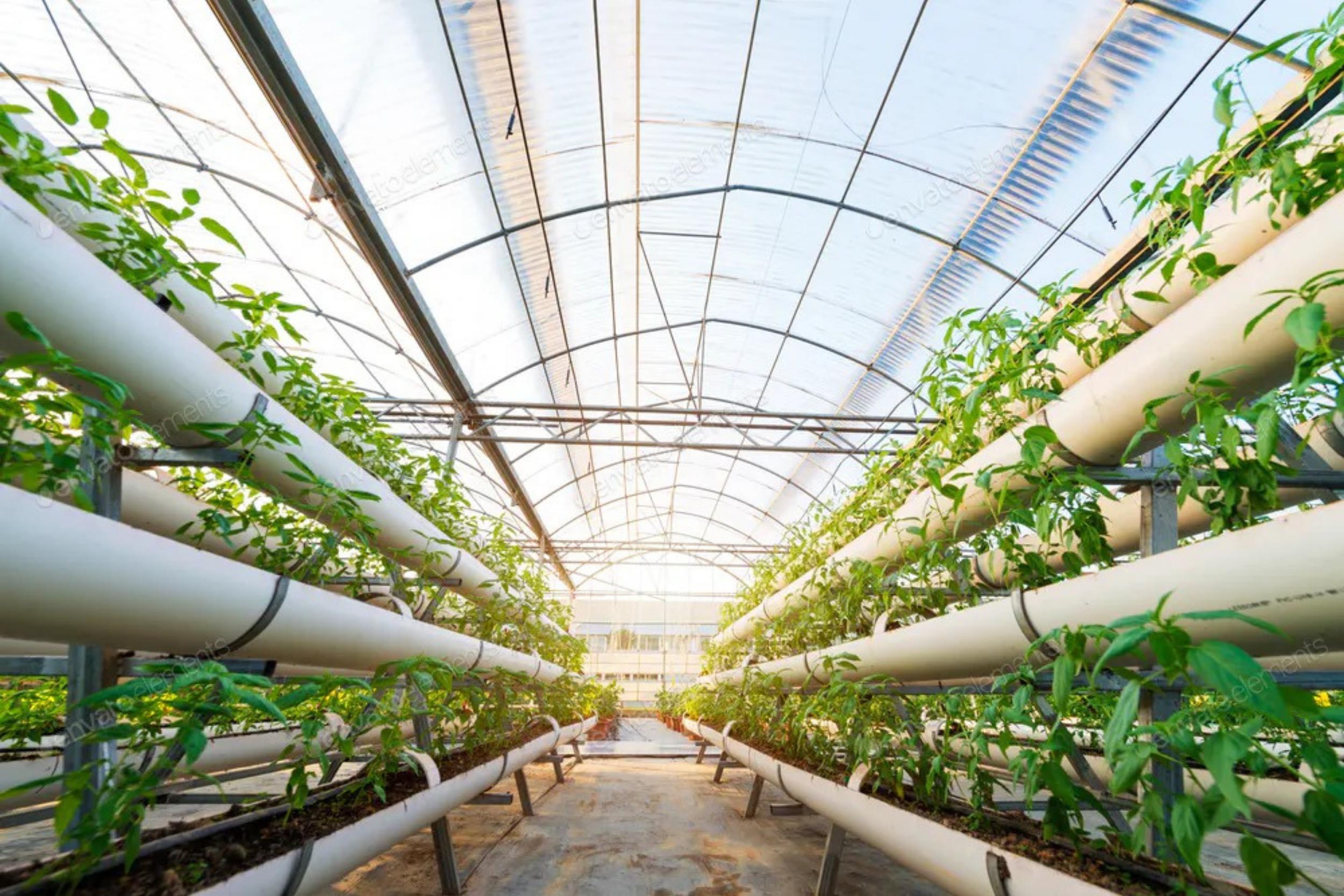 La culture sous serre – avantages pour l’agriculture  Unipipe and Profil