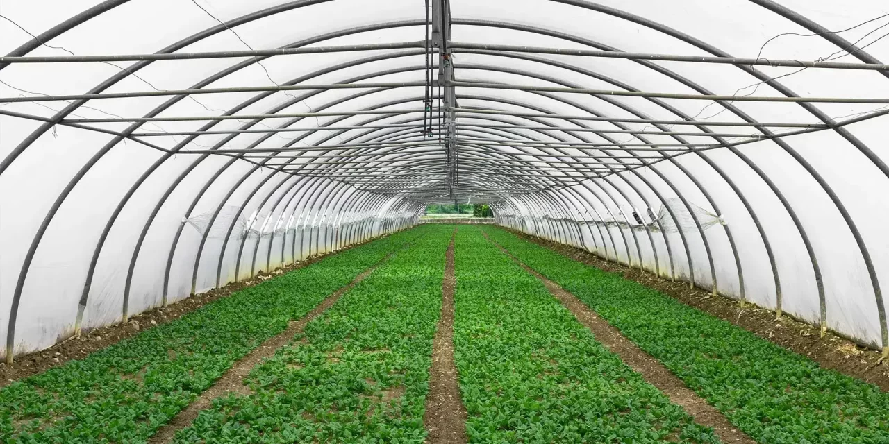 Construire une Serre agricole au Maroc